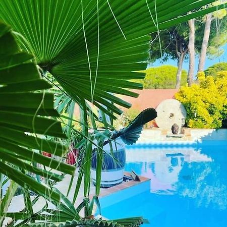 לה-גרו-דו-רואה Hebergement Insolite Studio Grau Du Roi Mas Des Marines Piscine מראה חיצוני תמונה