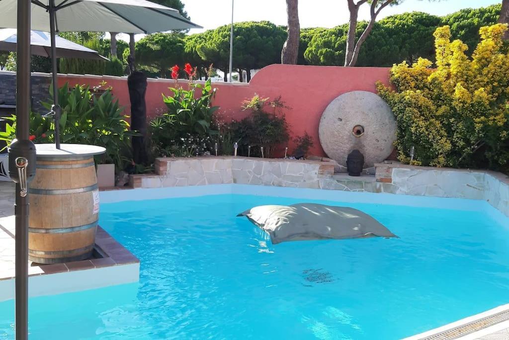 לה-גרו-דו-רואה Hebergement Insolite Studio Grau Du Roi Mas Des Marines Piscine מראה חיצוני תמונה